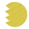 Słonecznik (żółty)