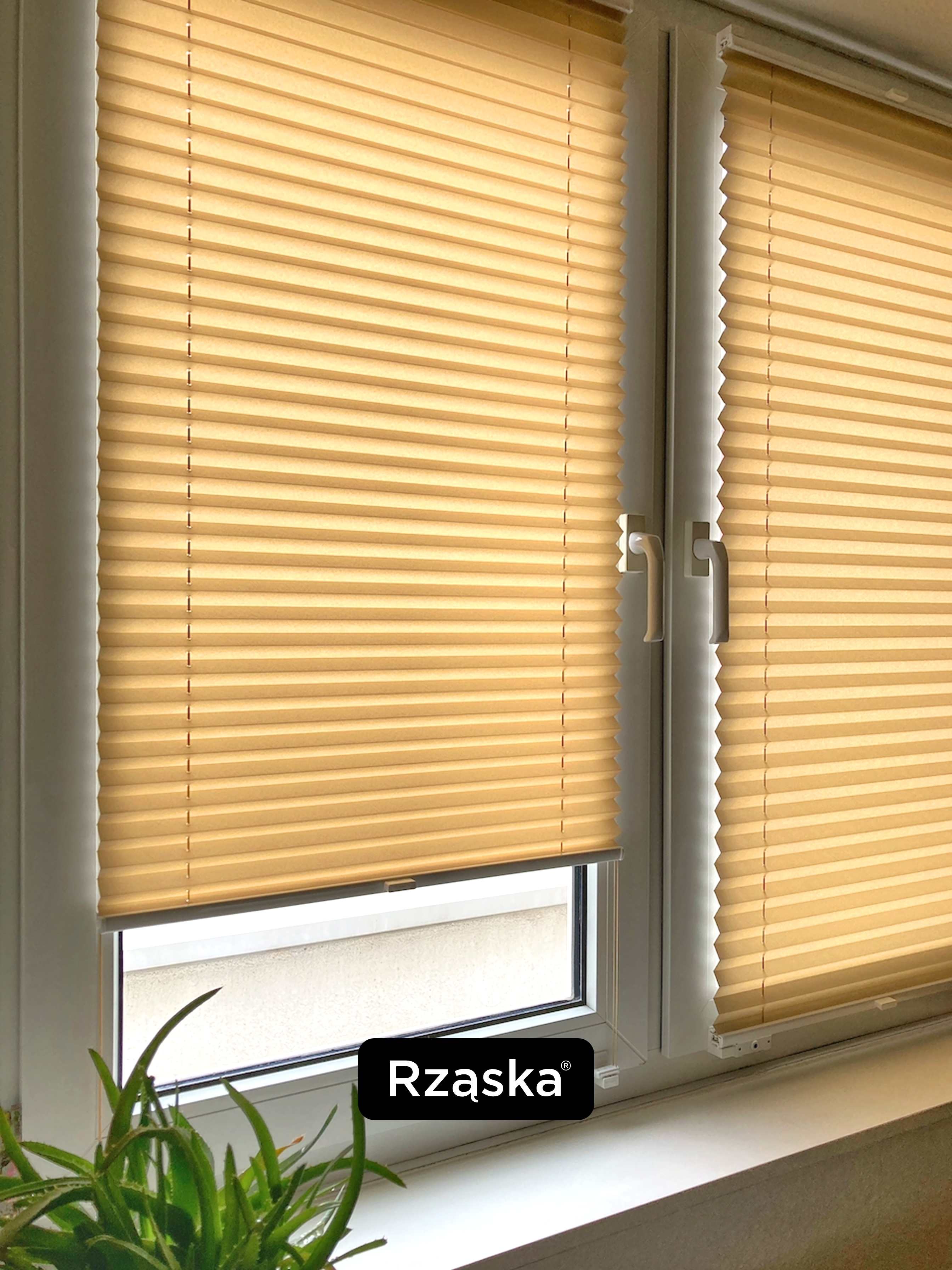 Beżowe plisy okienne na ramie okna