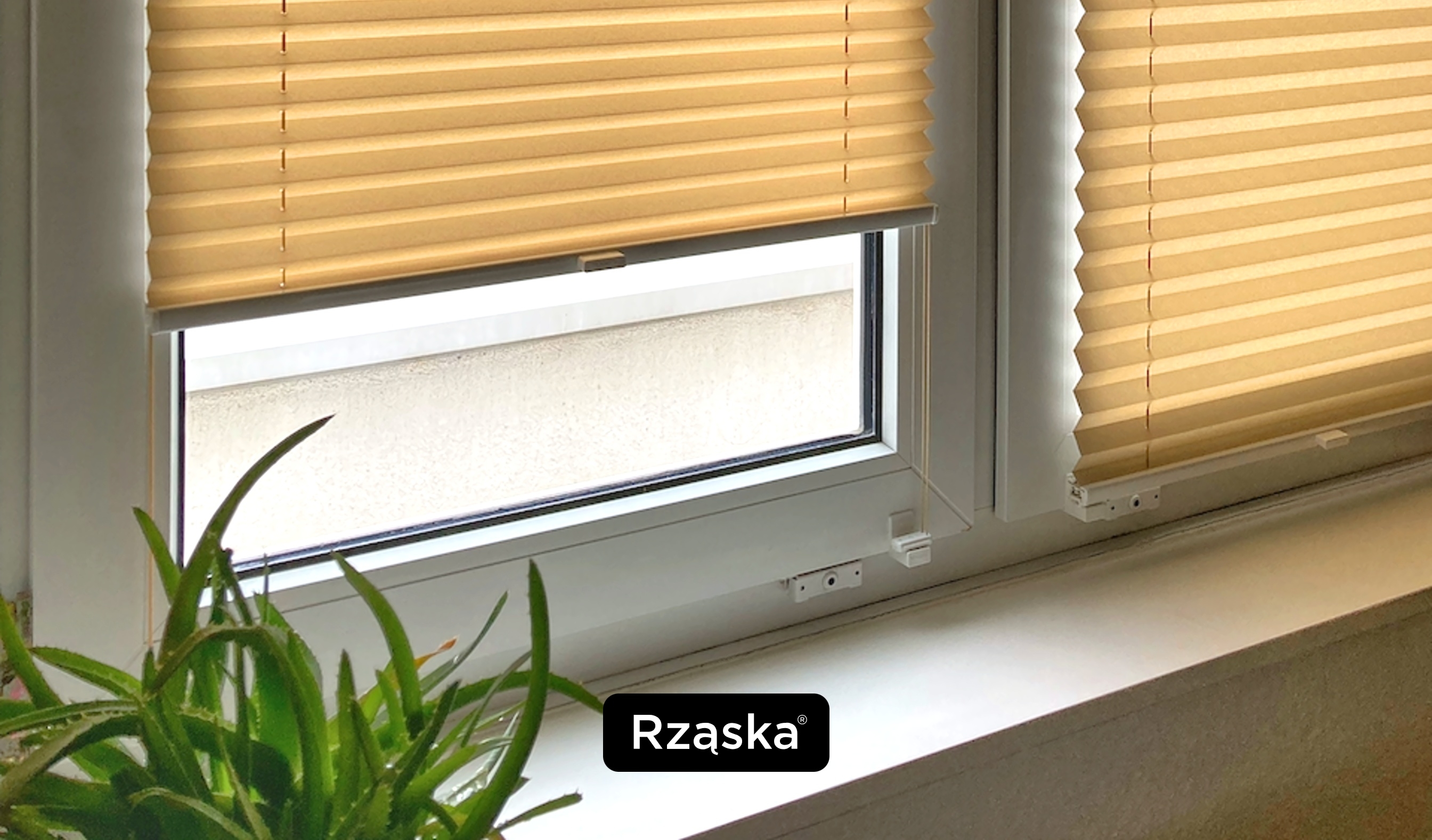 Plisy na oknach z regulacją góra dół