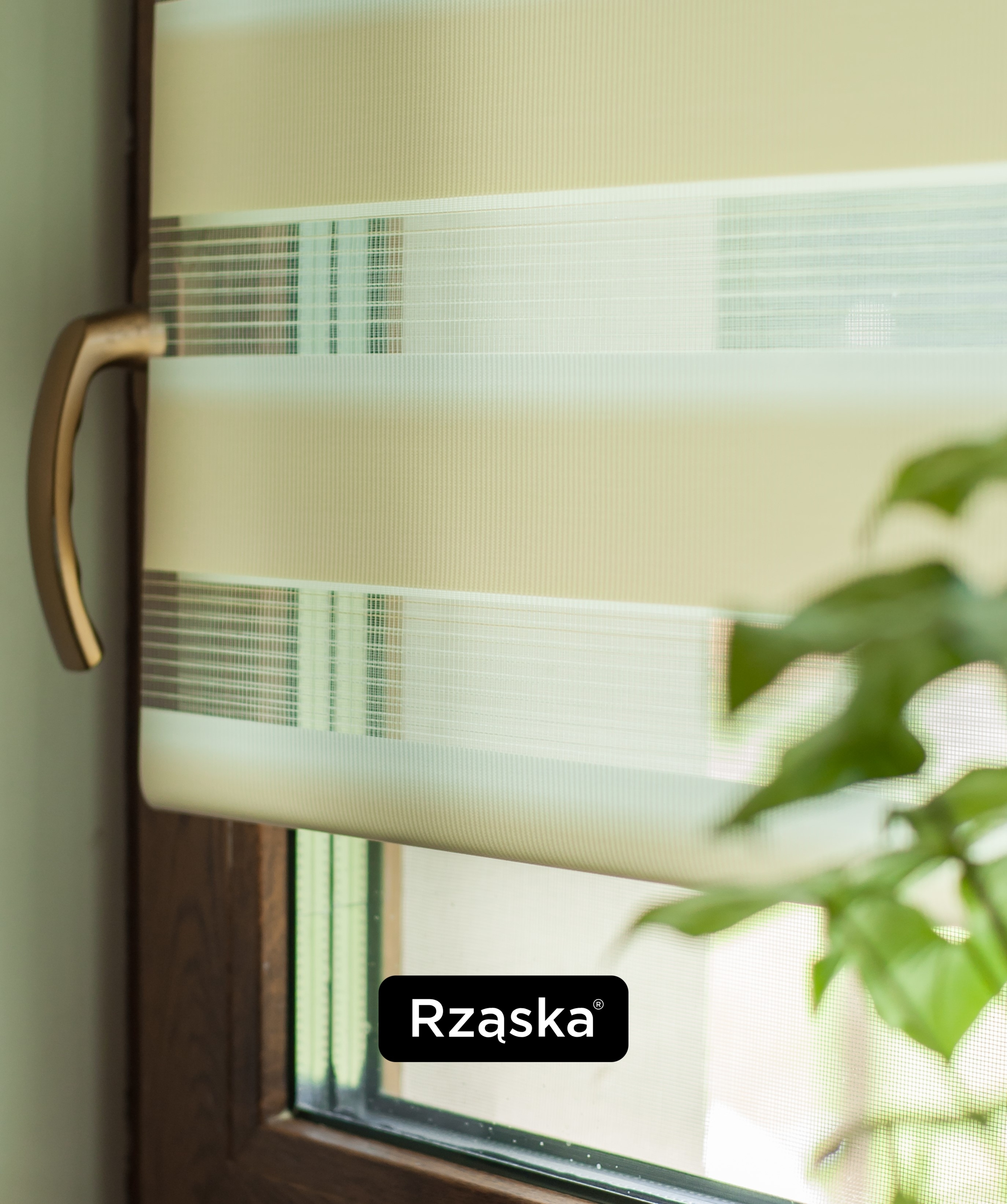 Roleta dzień i noc na oknie
