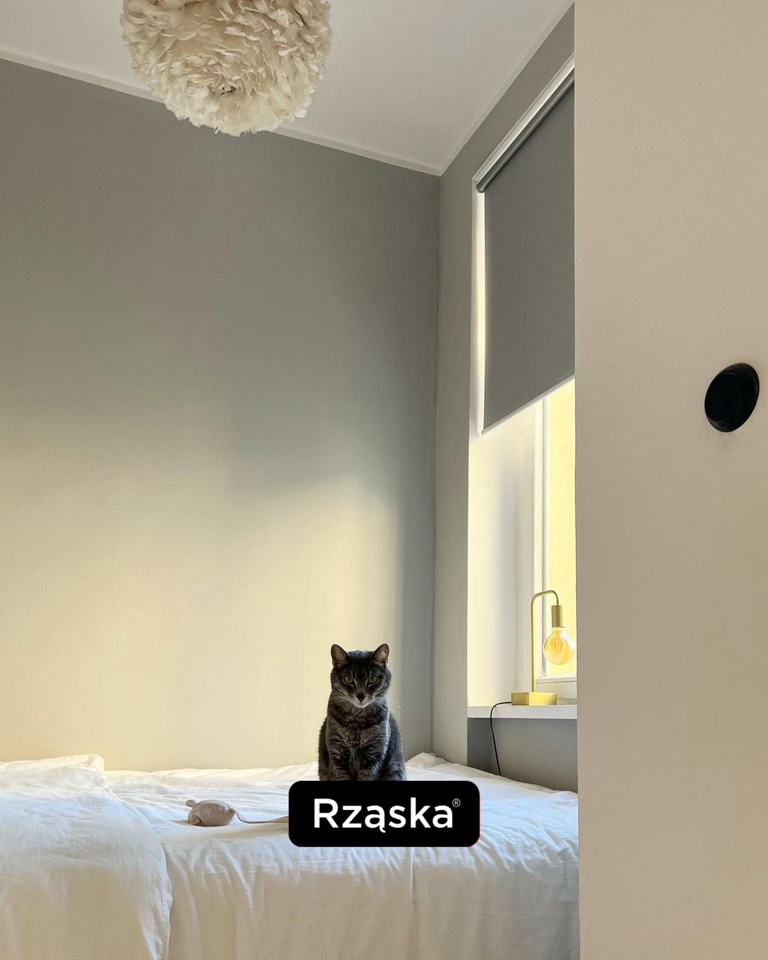 Szara roleta zaciemniająca w sypialni z kotem na łóżku